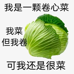 一天天的-太卷了-惠小助(52huixz.com)