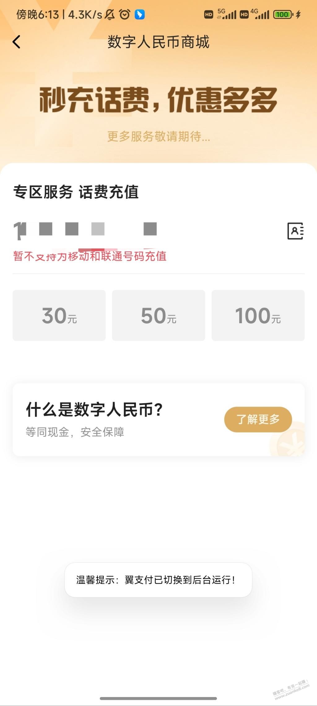 翼支付小毛-充30话费返30通用支付卷-可以京东支付-惠小助(52huixz.com)