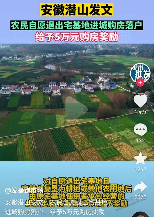 安徽潜山5w大毛-惠小助(52huixz.com)