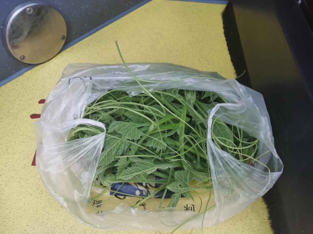 抠搜省钱的日子，晚上吃点草吧