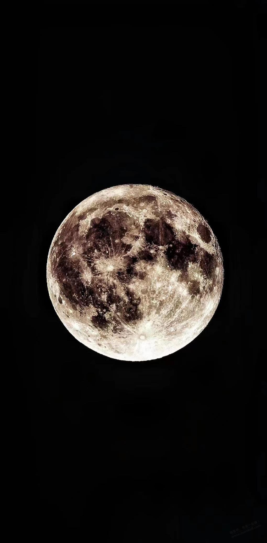 中秋节-手机拍个月亮应应景