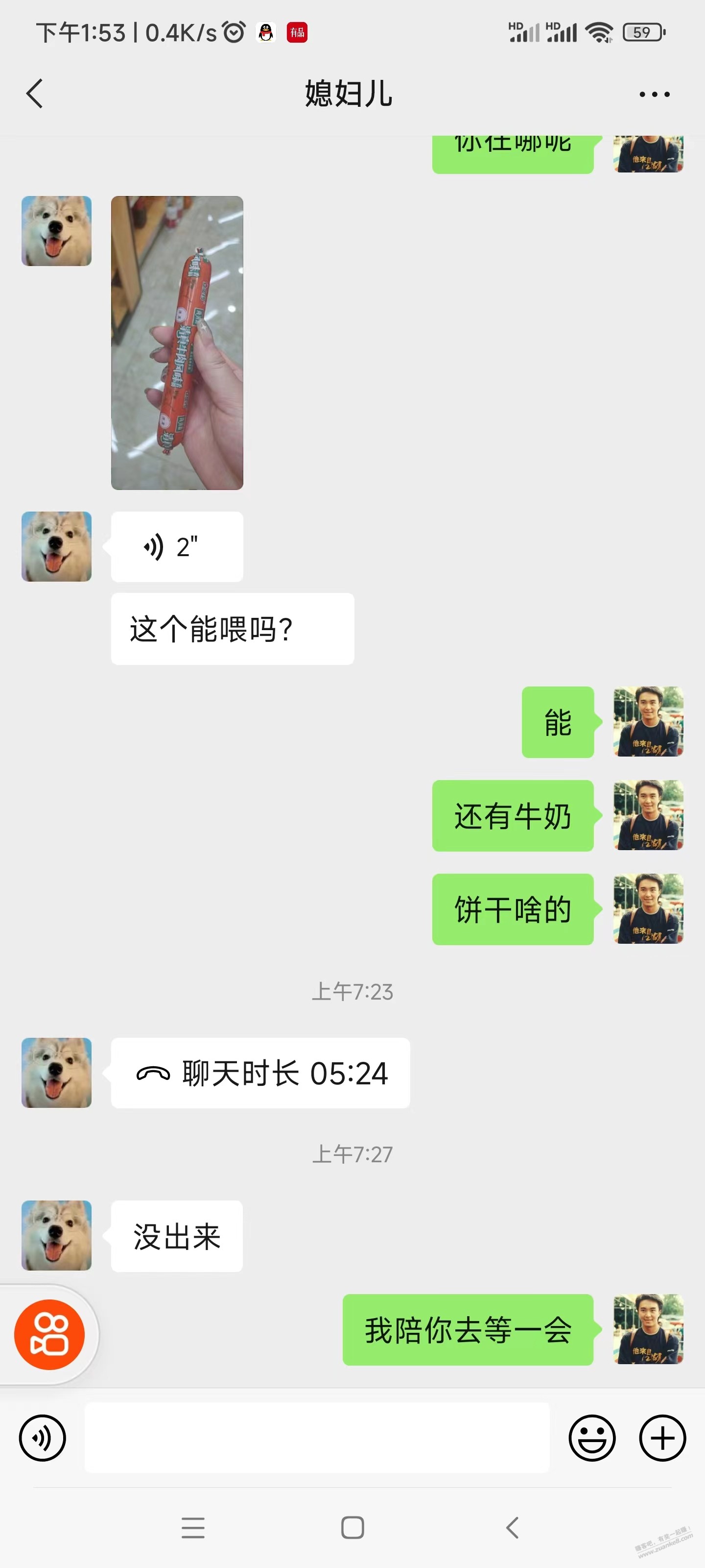 关于大早上反撸800元，记救一只小猫的经过 -  kkkkn团