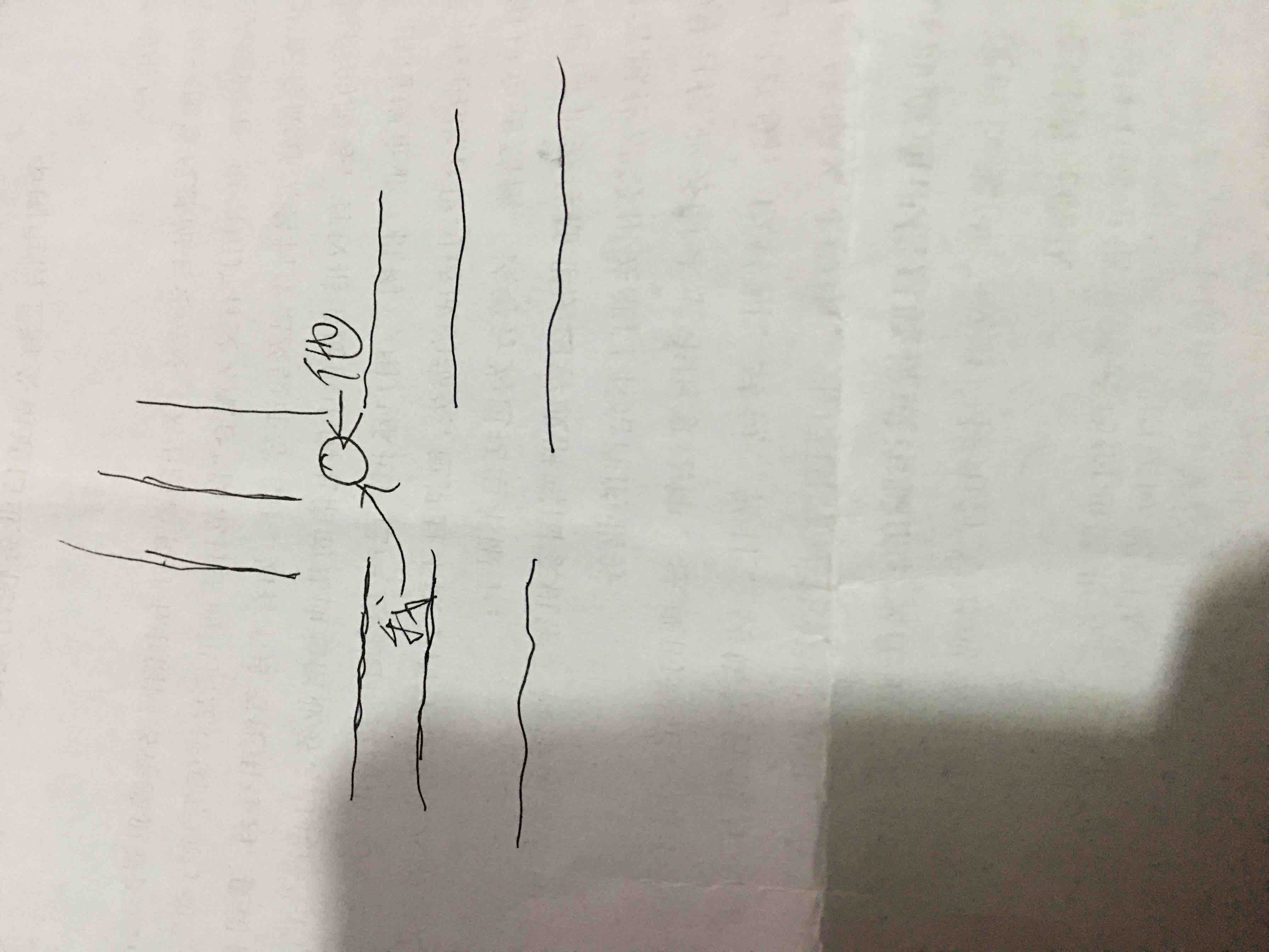 骑新大洲吧车摔了 -  kkkkn团