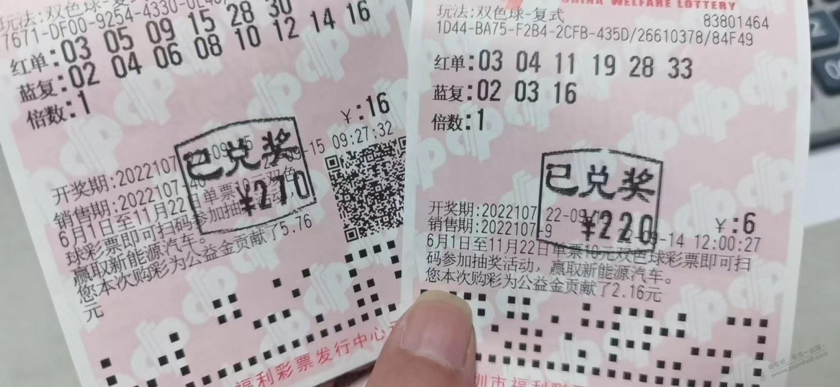 后知后觉 -  kkkkn团