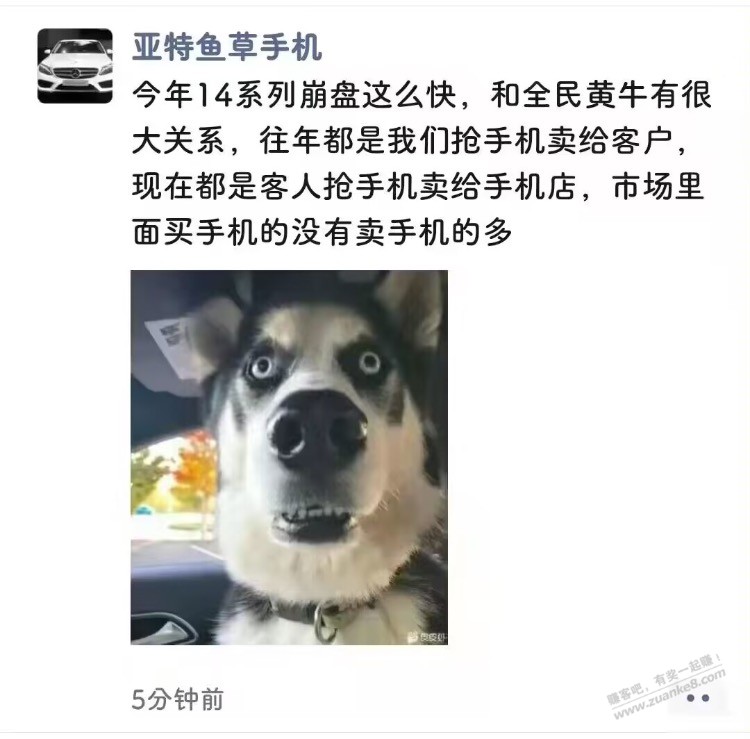 全民黄牛卷死他们 -  kkkkn团