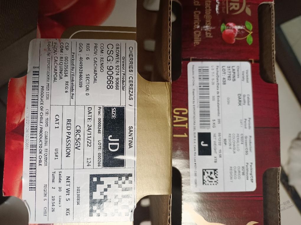 帮忙看下车厘子牌子 - 0818团