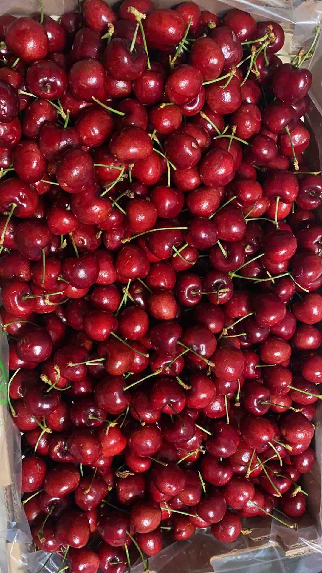 吧友帮把把关，车厘子copefrut刚收到 - 0818团