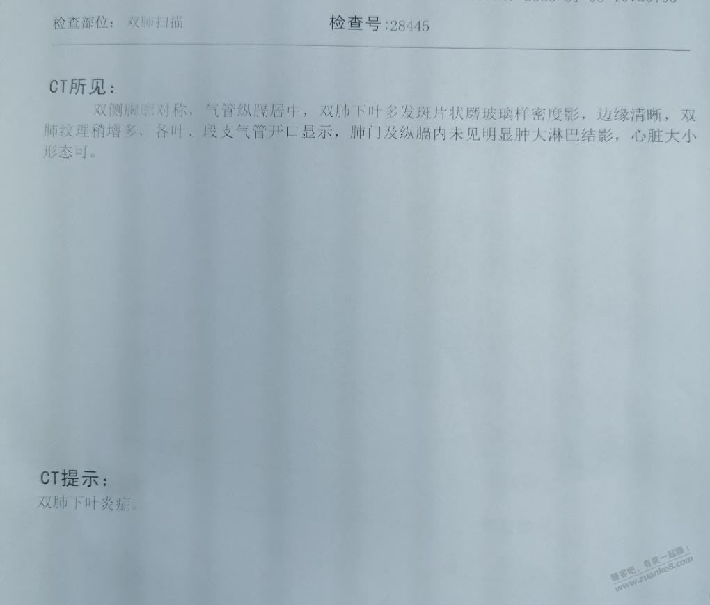 拍了肺片，肺严了 - 0818团