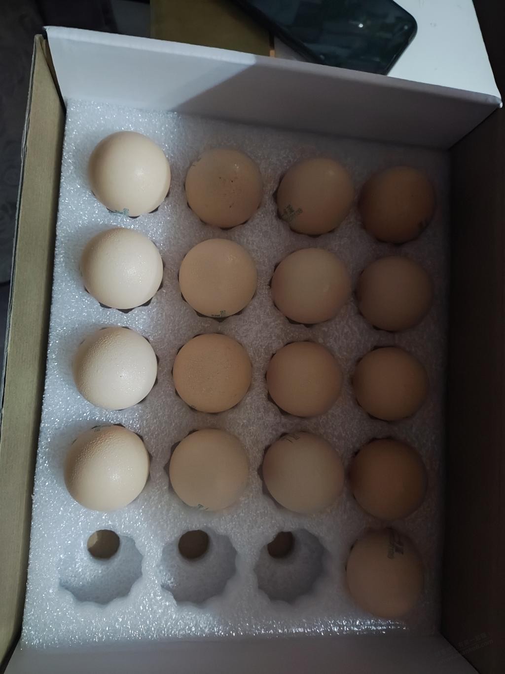 一号店的鸡蛋收到了，还行 - 0818团