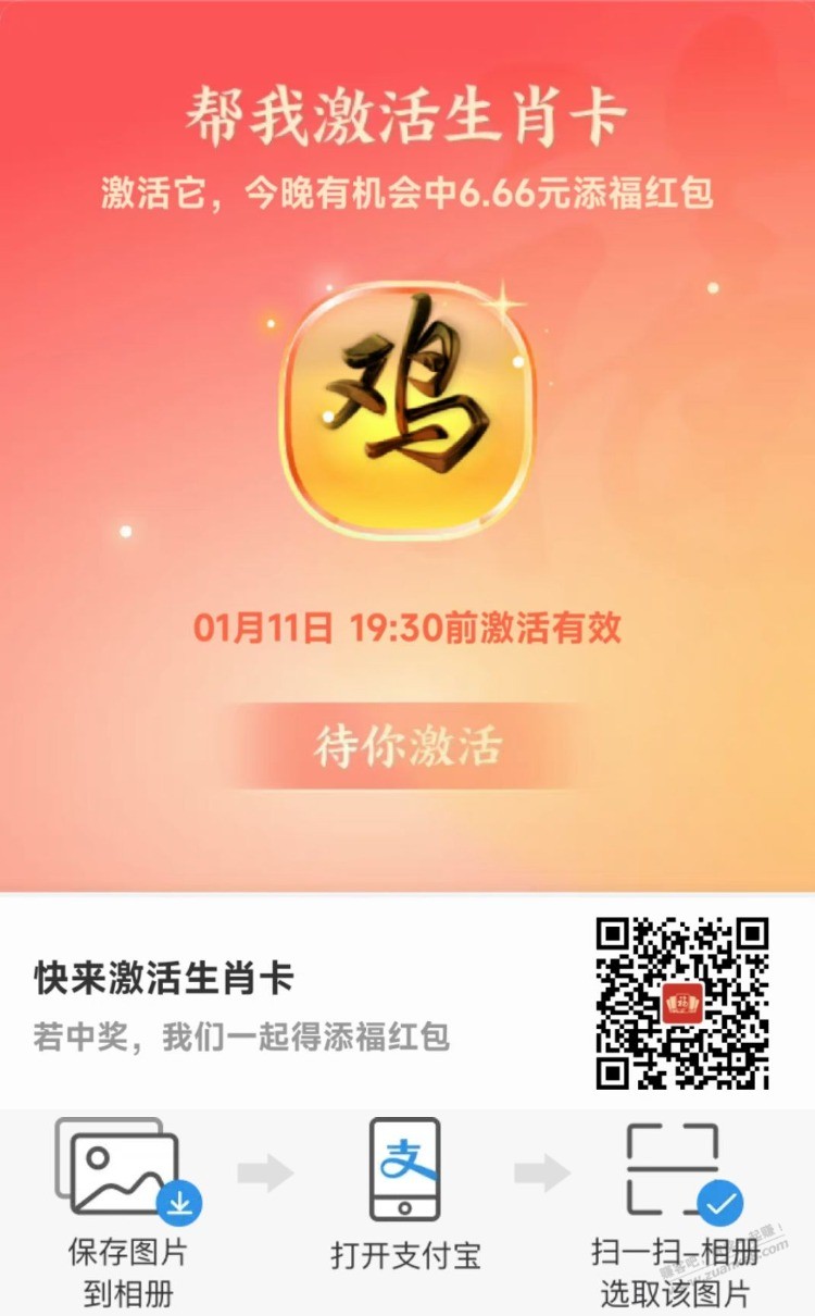 生肖鸡激活 - 0818团