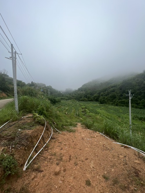 农村的日常vlog-南方地区-给北方的-城里的网友看看风景-惠小助(52huixz.com)