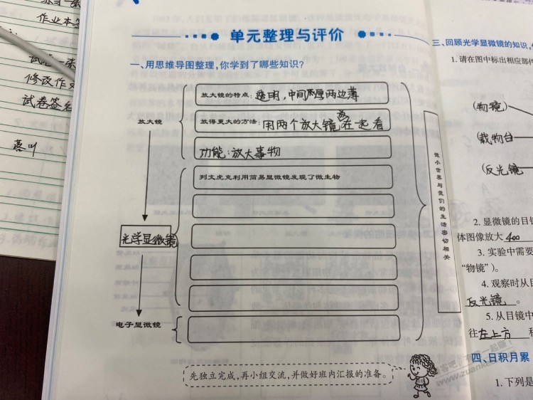 吧里有没有六年级的小学生或者孩子家长啊？ - 线报迷