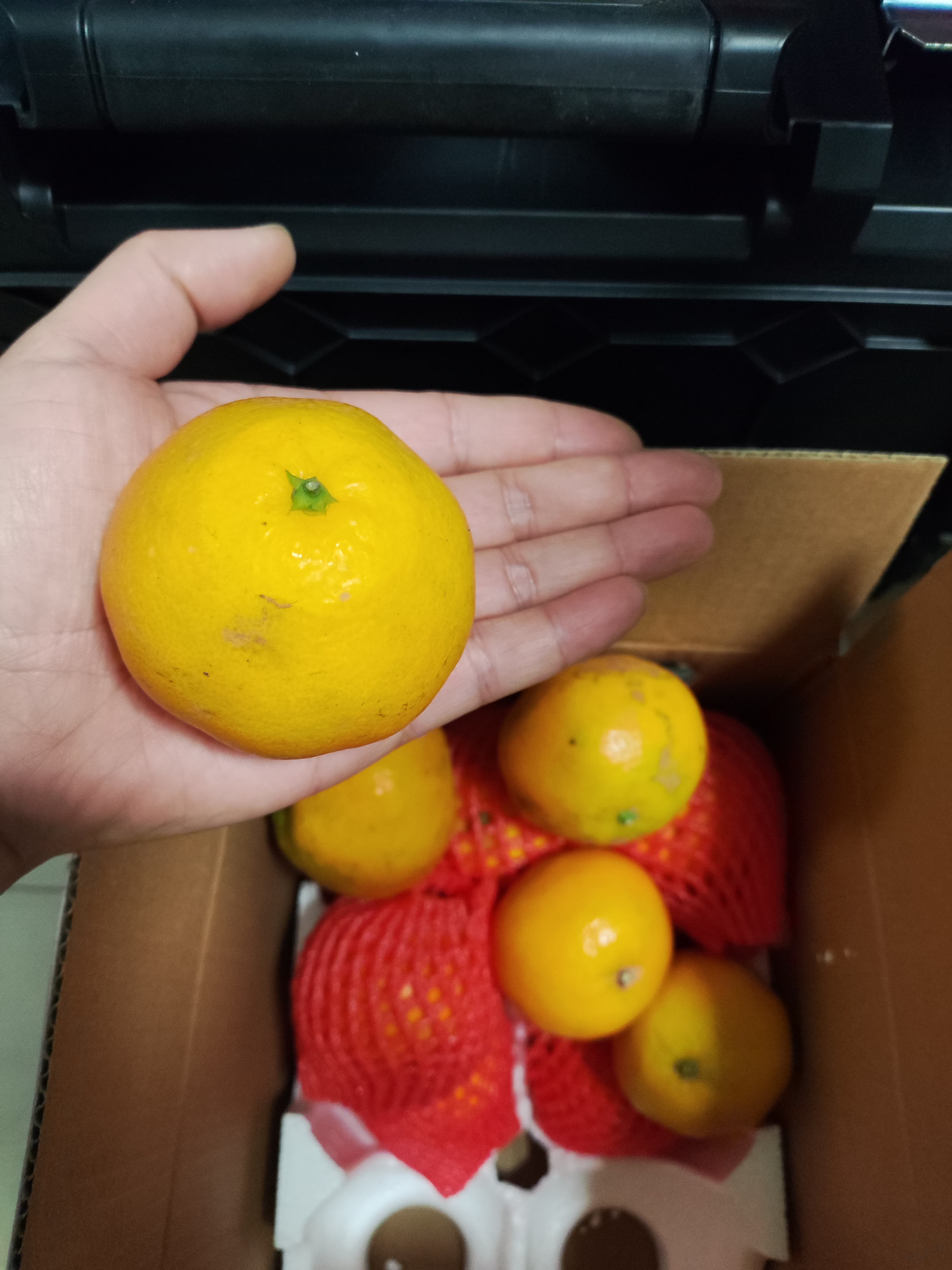 买了狗罗耙耙柑的赶紧退款止损 - 线报迷