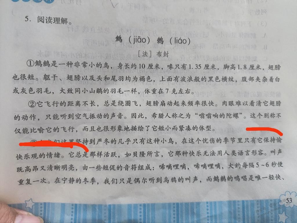 它的飞行？有精通语文的吗？我总觉得这句话有毛病。 - 线报迷