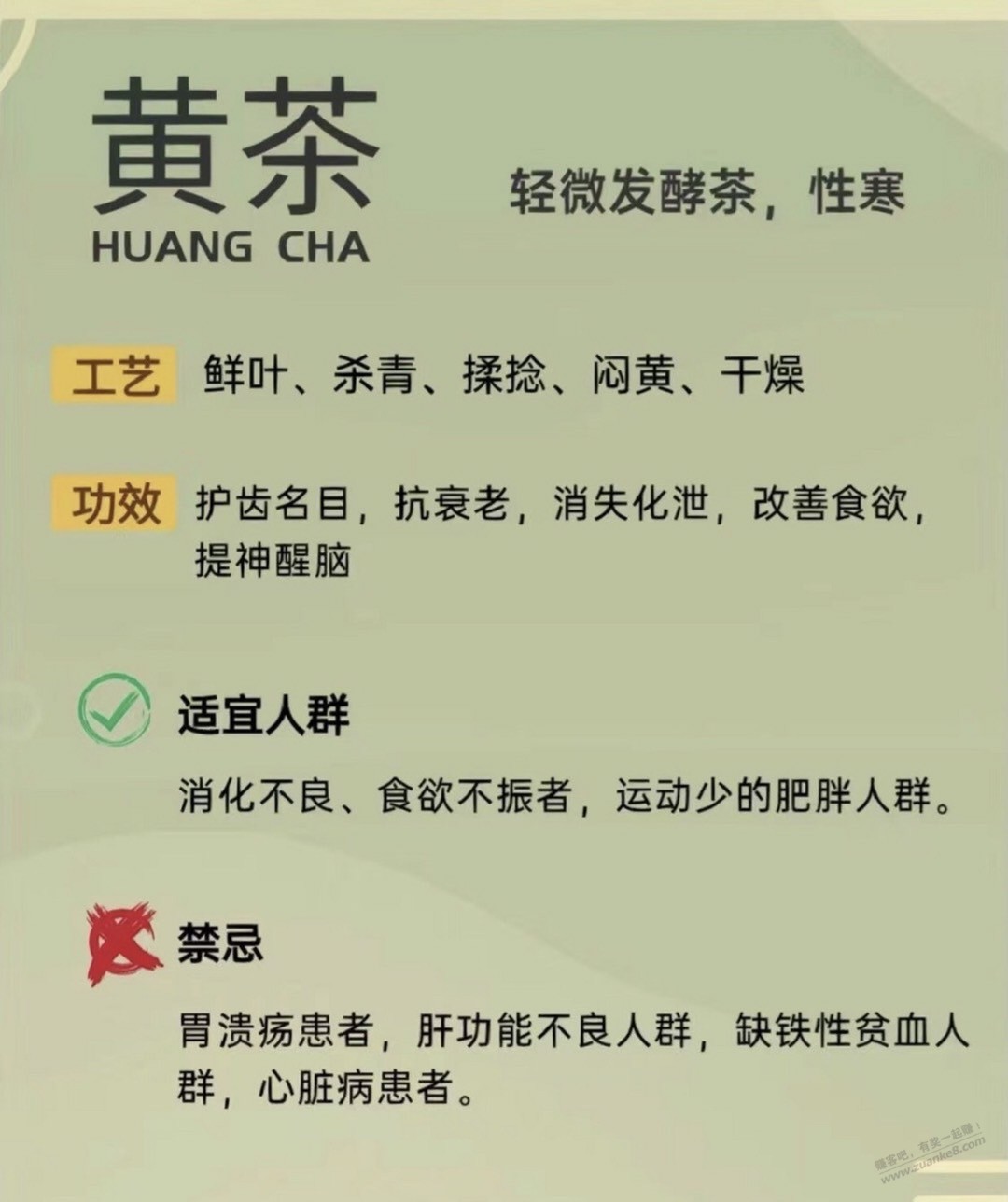 ……科普：不同体质，喝不同的茶，转载 - 线报迷