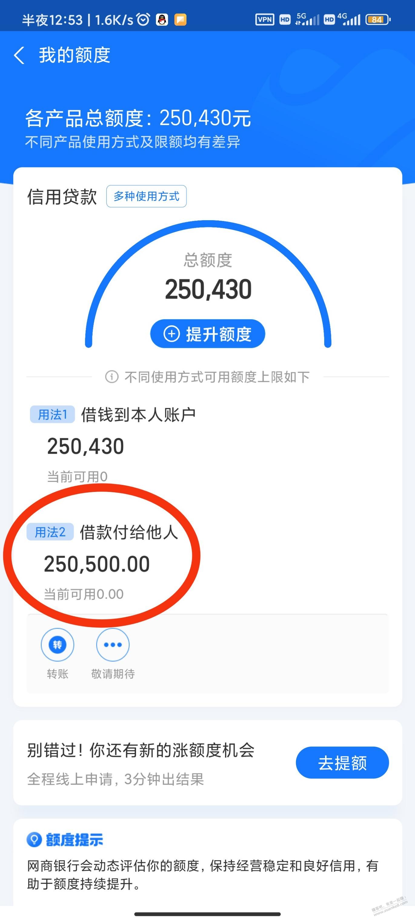 小马，多少人因此倾家荡产？ - 线报迷