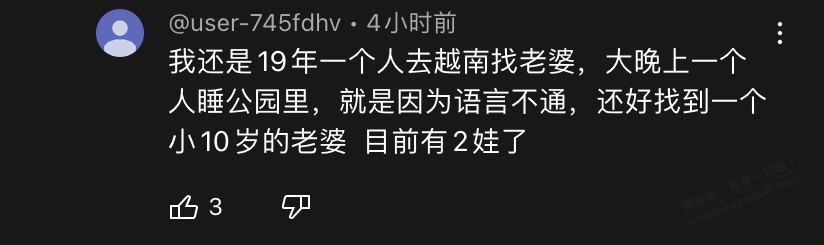 哈哈，厉害了，评论区看到独自去越南讨老婆，睡公园还能找到一个小10岁的老婆 - 线报迷