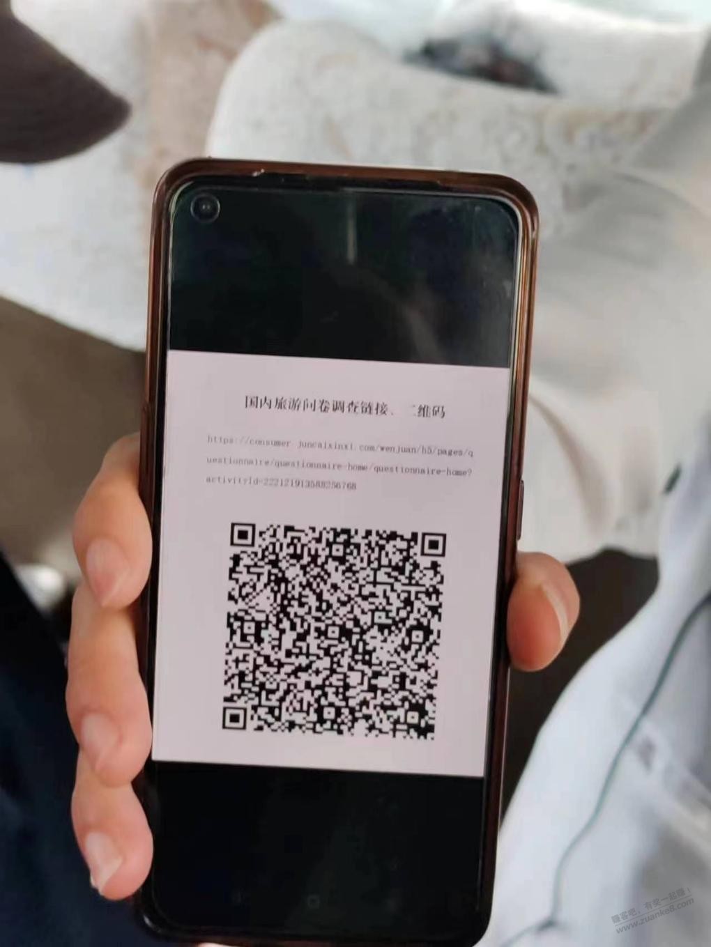 撸调查问卷红包！冲啊 - 线报迷