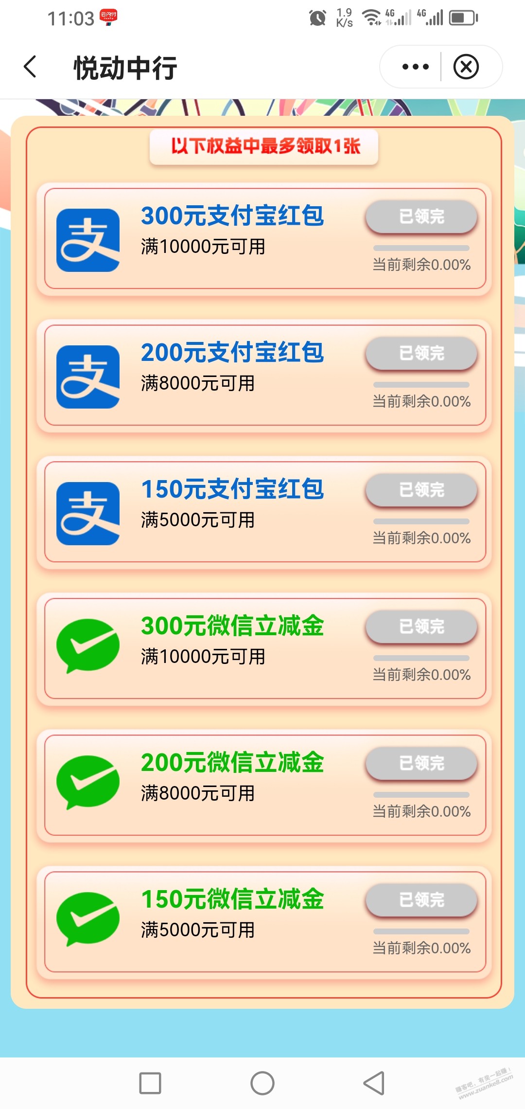 山东中行300大毛