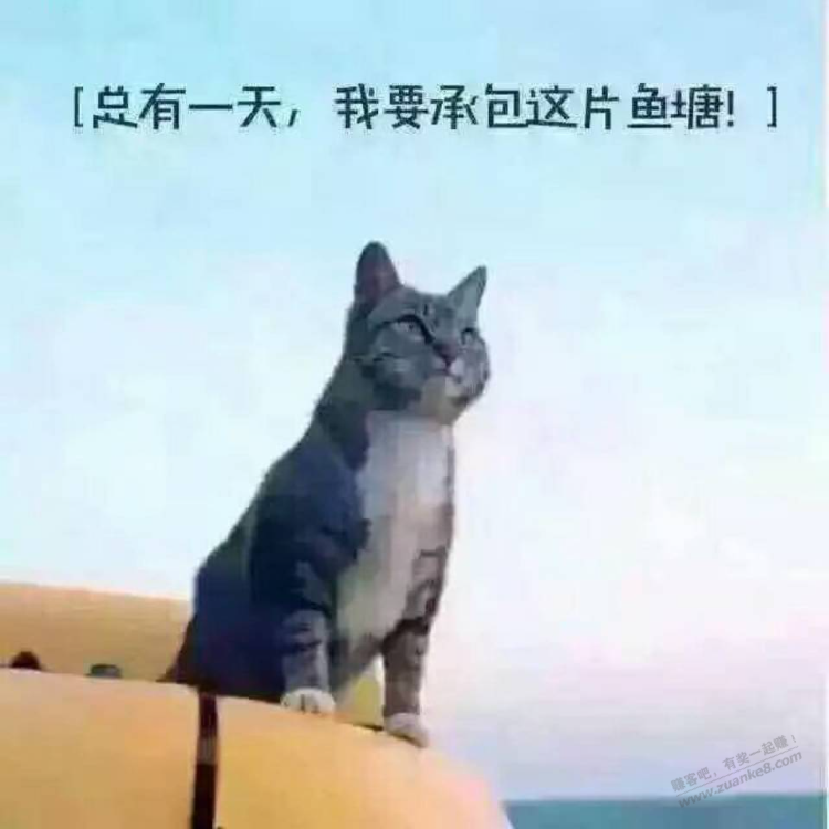 刚去网吧把头像上传啦 - 线报迷