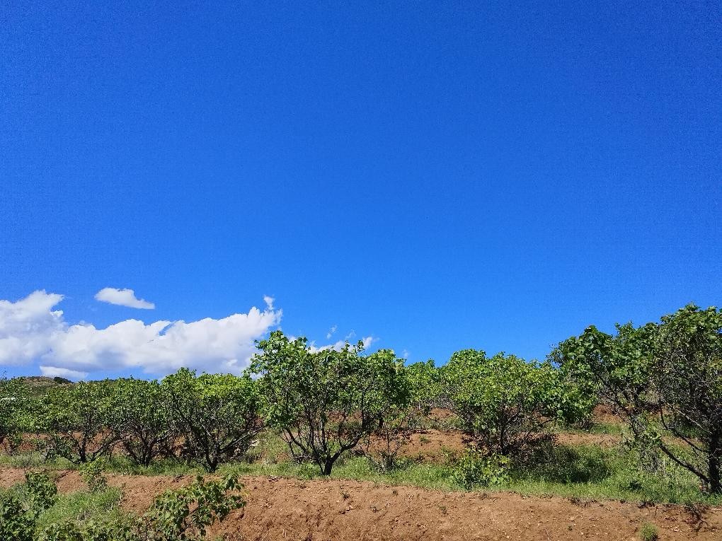 既然毛少就用天空蓝来治愈你好心情 - 线报酷