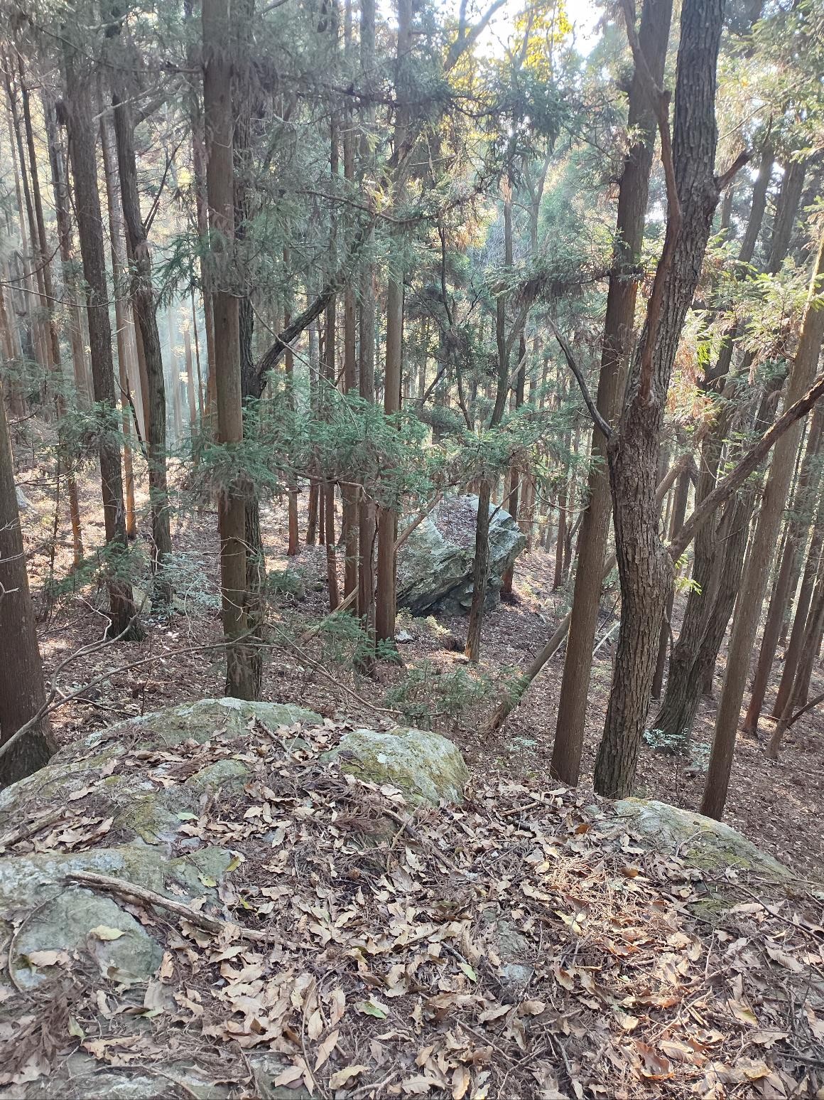 你们在网上撸毛，我在山上撸 - 线报酷