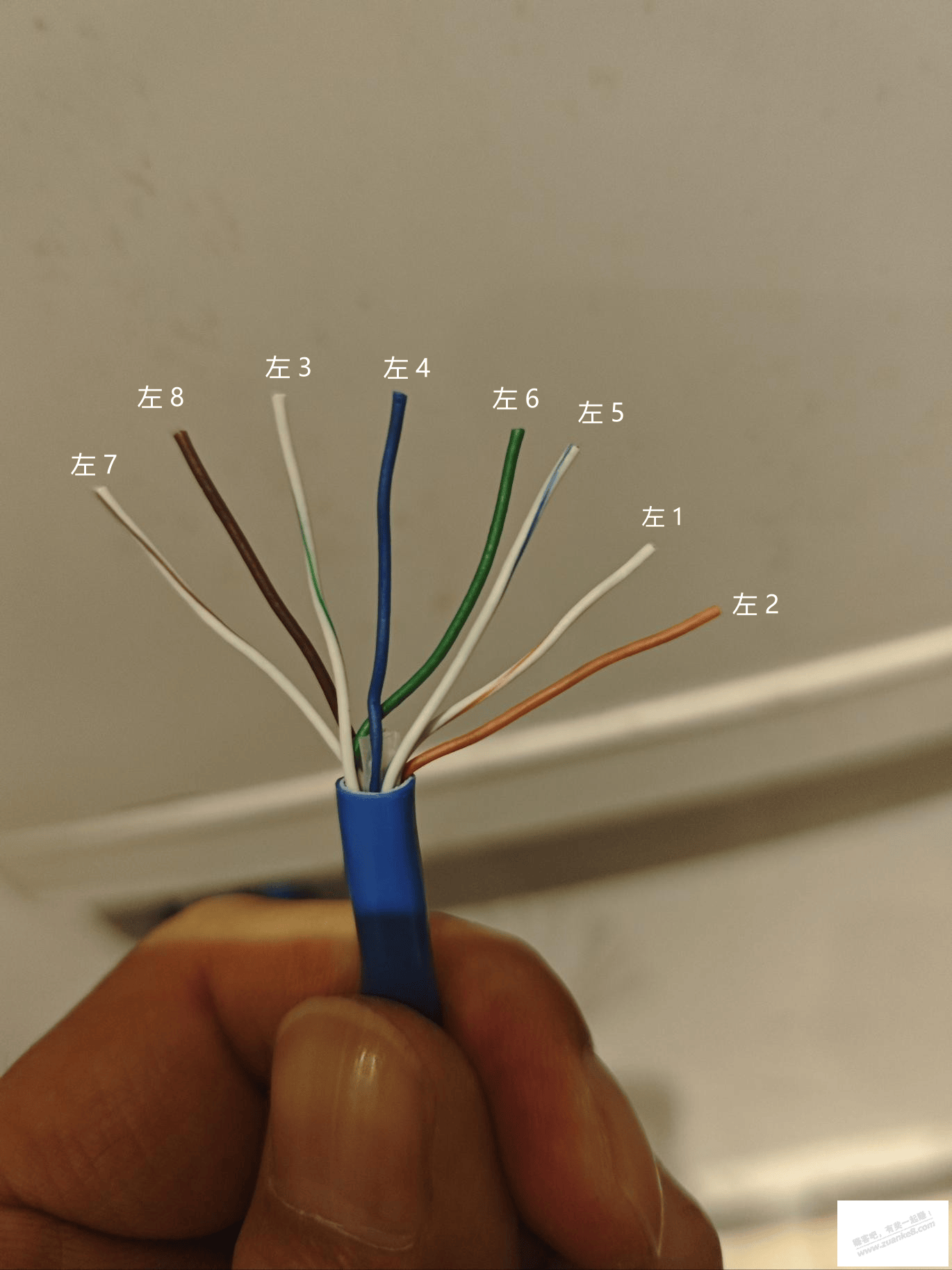 老哥们我色弱，顺序怎么拍？接水晶头，百度看不懂 - 线报酷