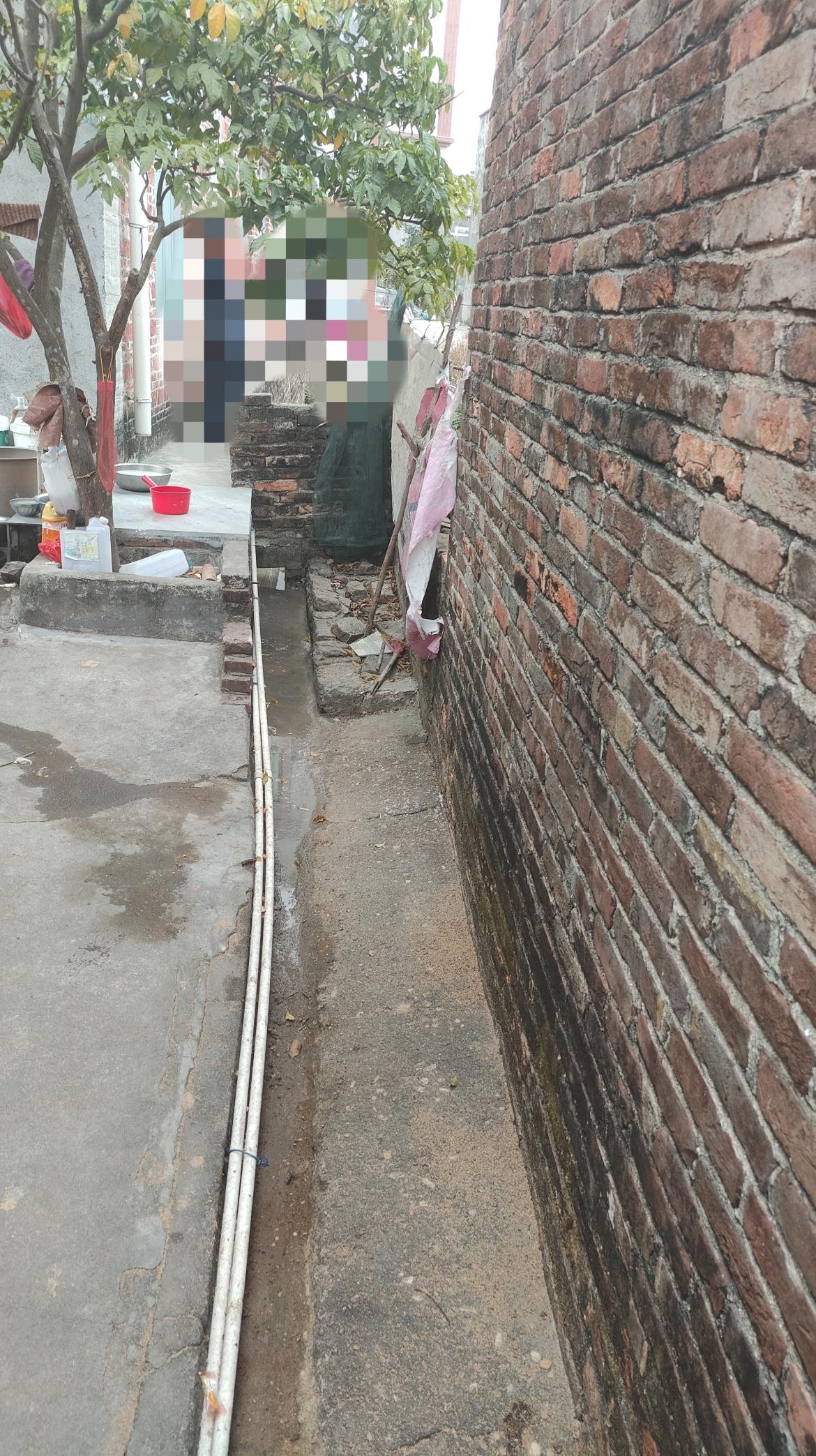 怎么对付恶邻大家支一下招 - 线报迷