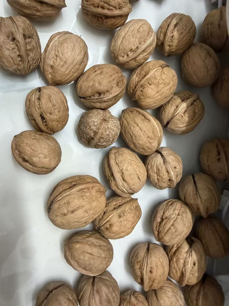 怎么把新鲜核桃保存到过年？ - 清风线报